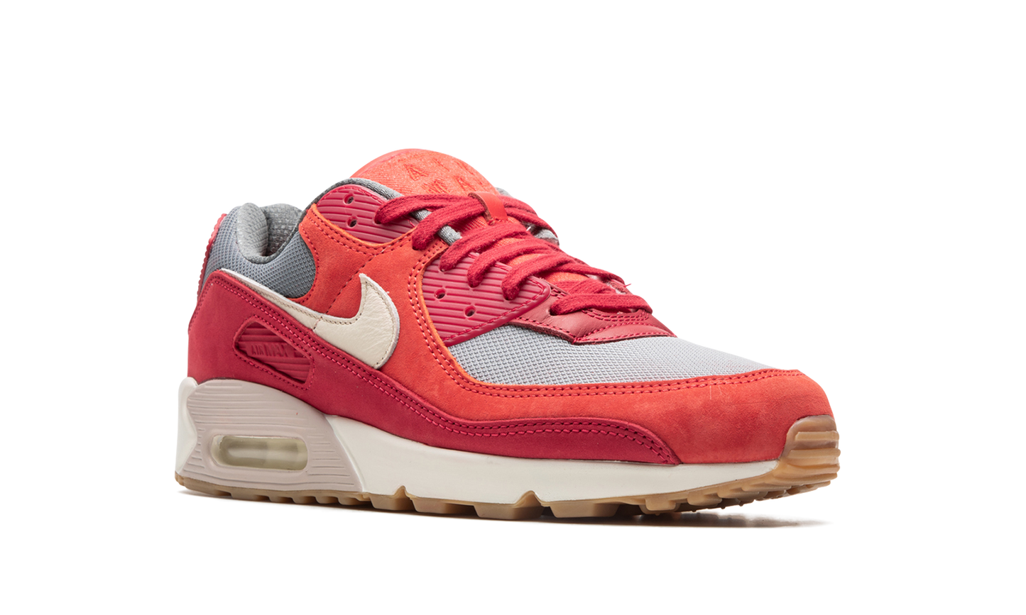 Air Max 90 PRM "Gym Red"