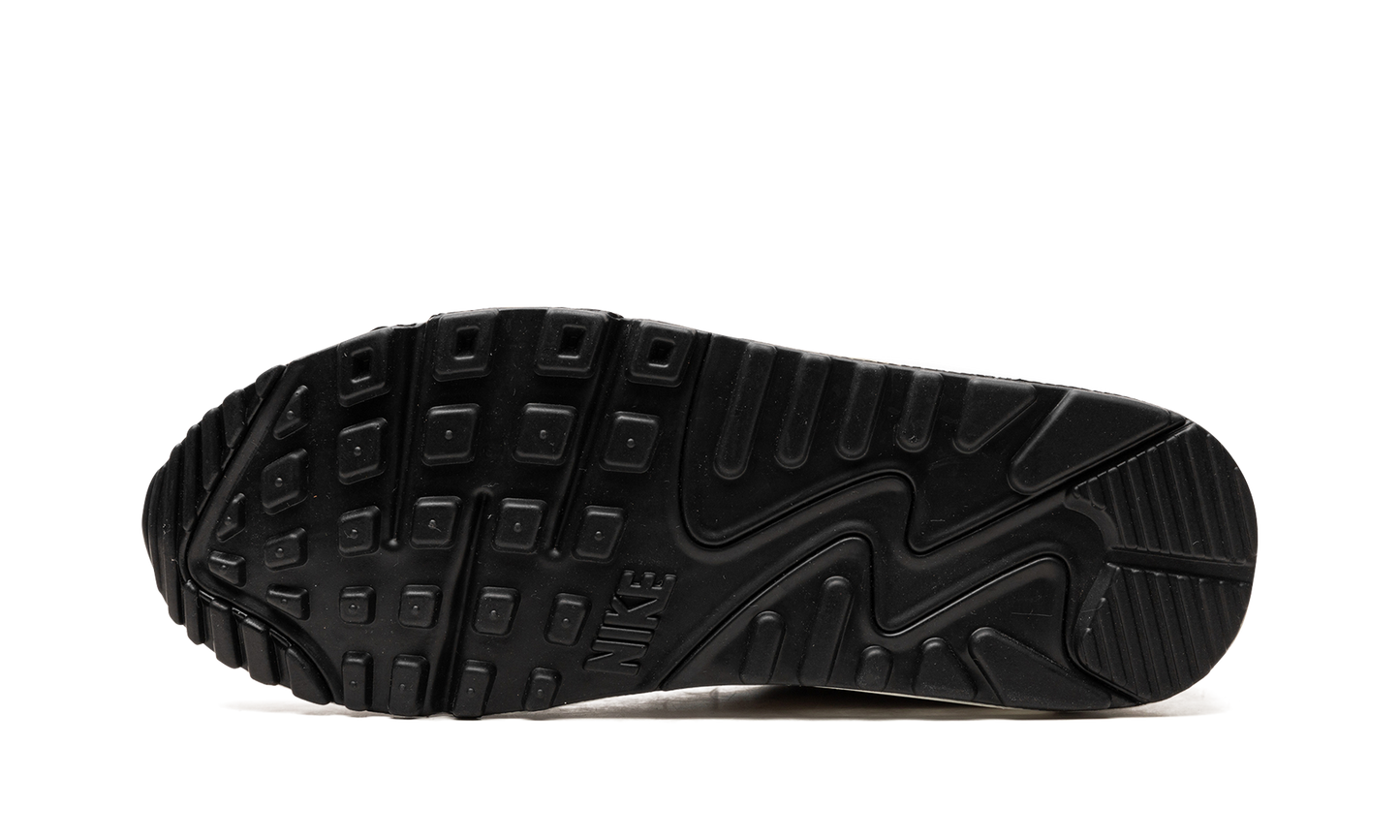 AIR MAX 90 WMNS "United In Victory"