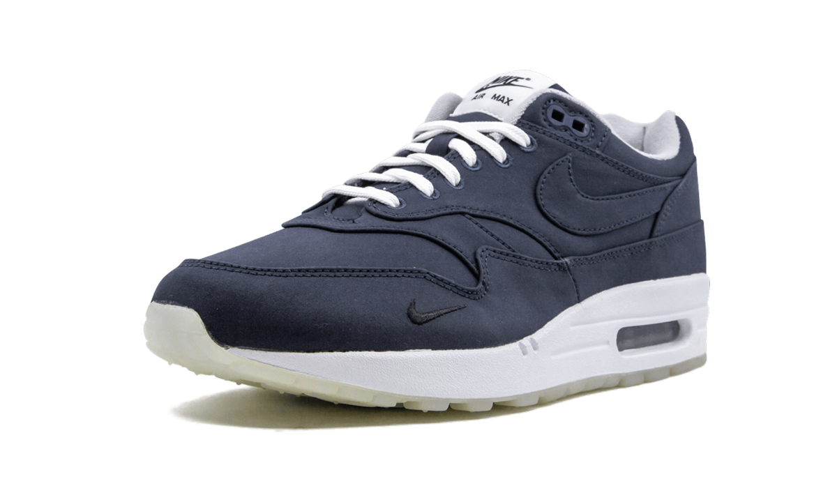 Air Max 1 "DSM"