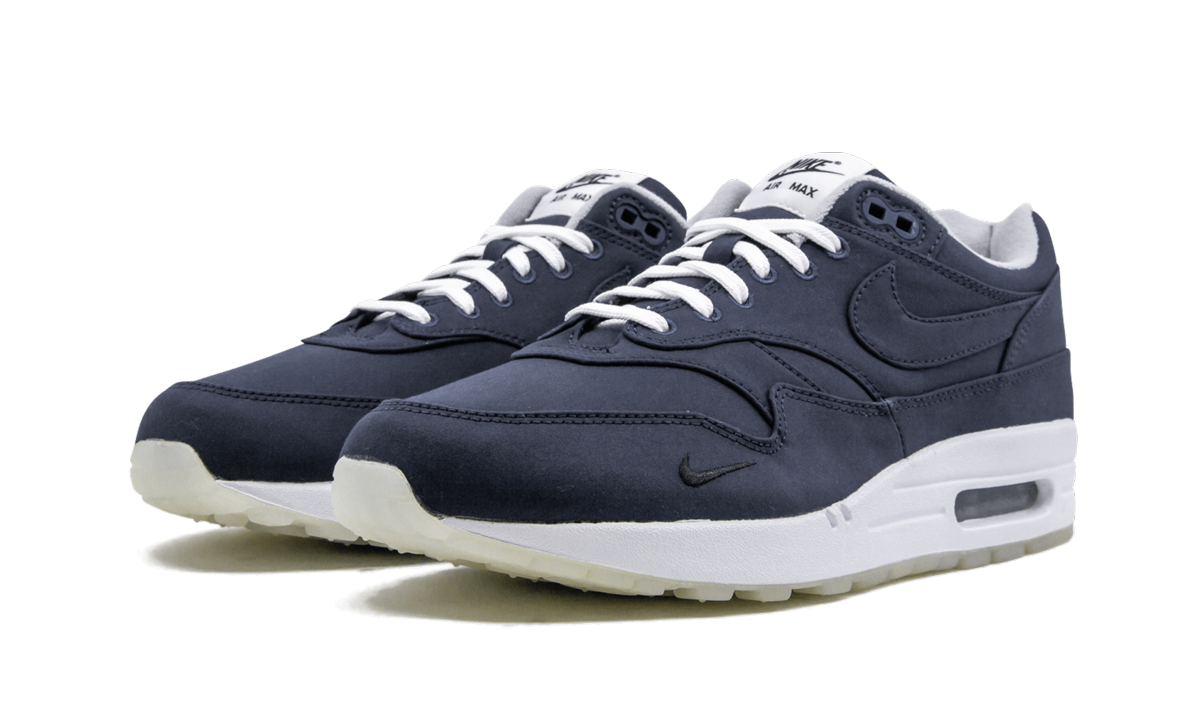Air Max 1 "DSM"
