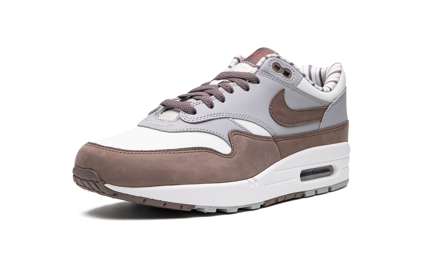 Air Max 1 "Shima Shima"