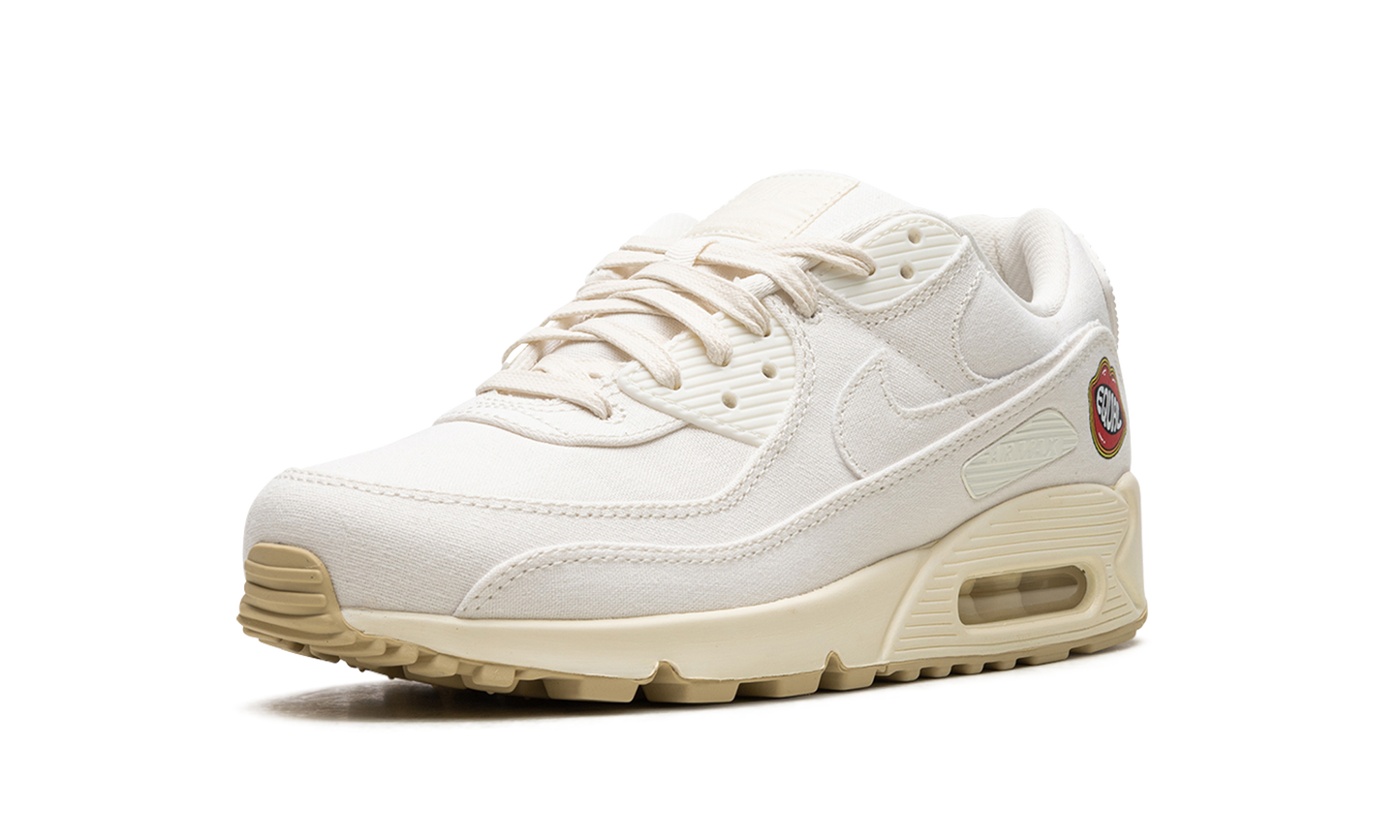 AIR MAX 90 MNS WMNS "The Future is Equal"
