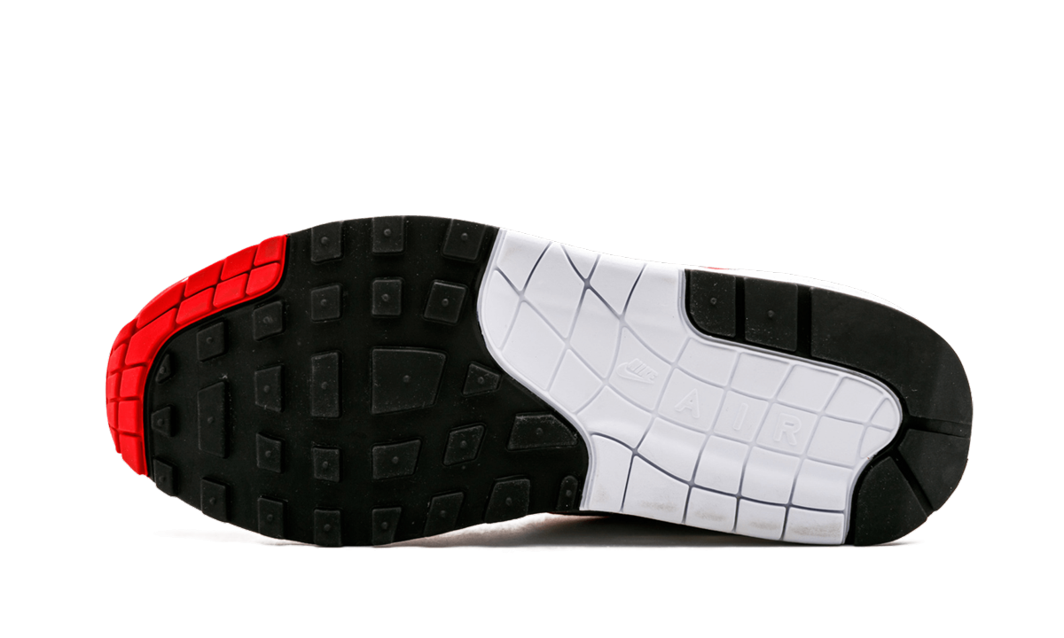 Air Max 1 Anniversary "Anniversary"