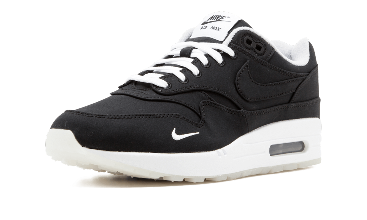 Air Max 1 "DSM"