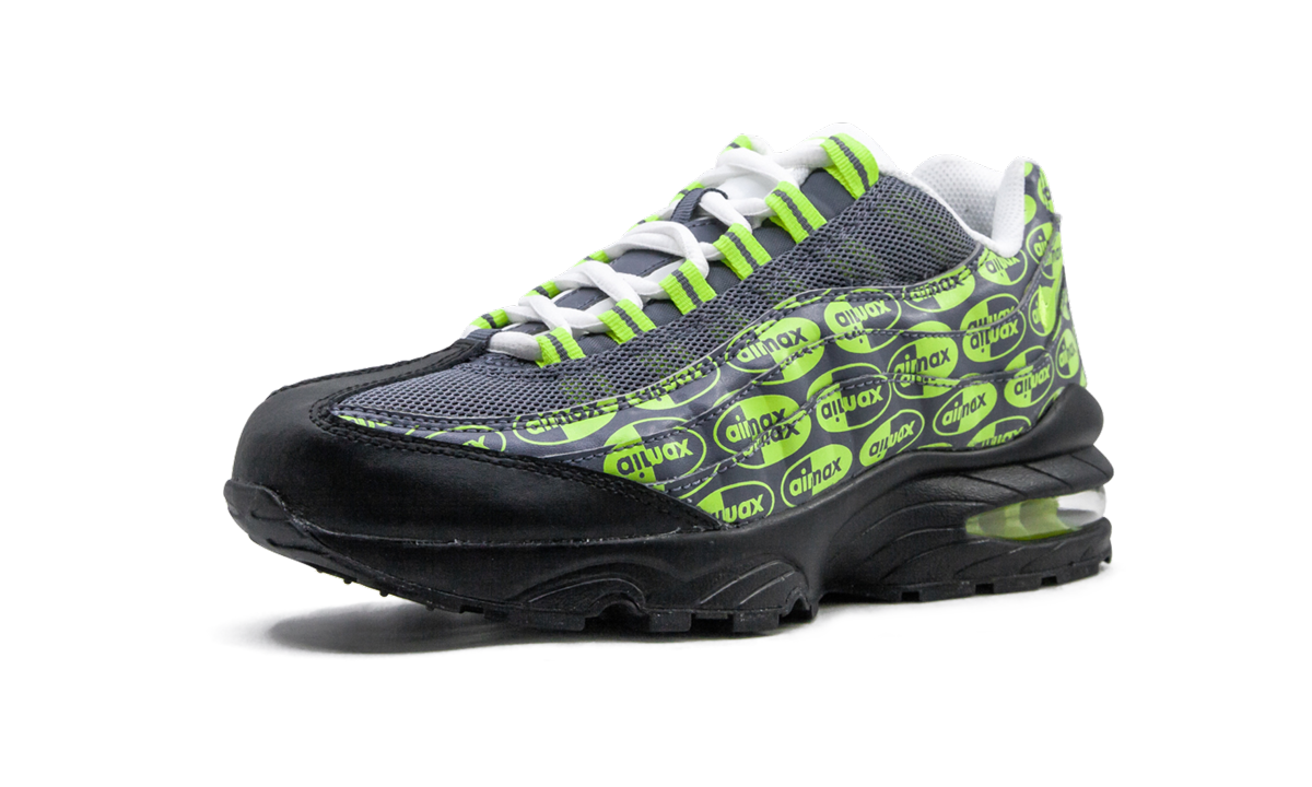 Air Max 95 SE (GS)