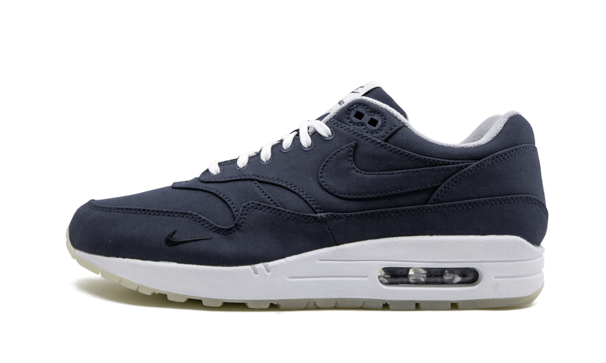 Air Max 1 "DSM"