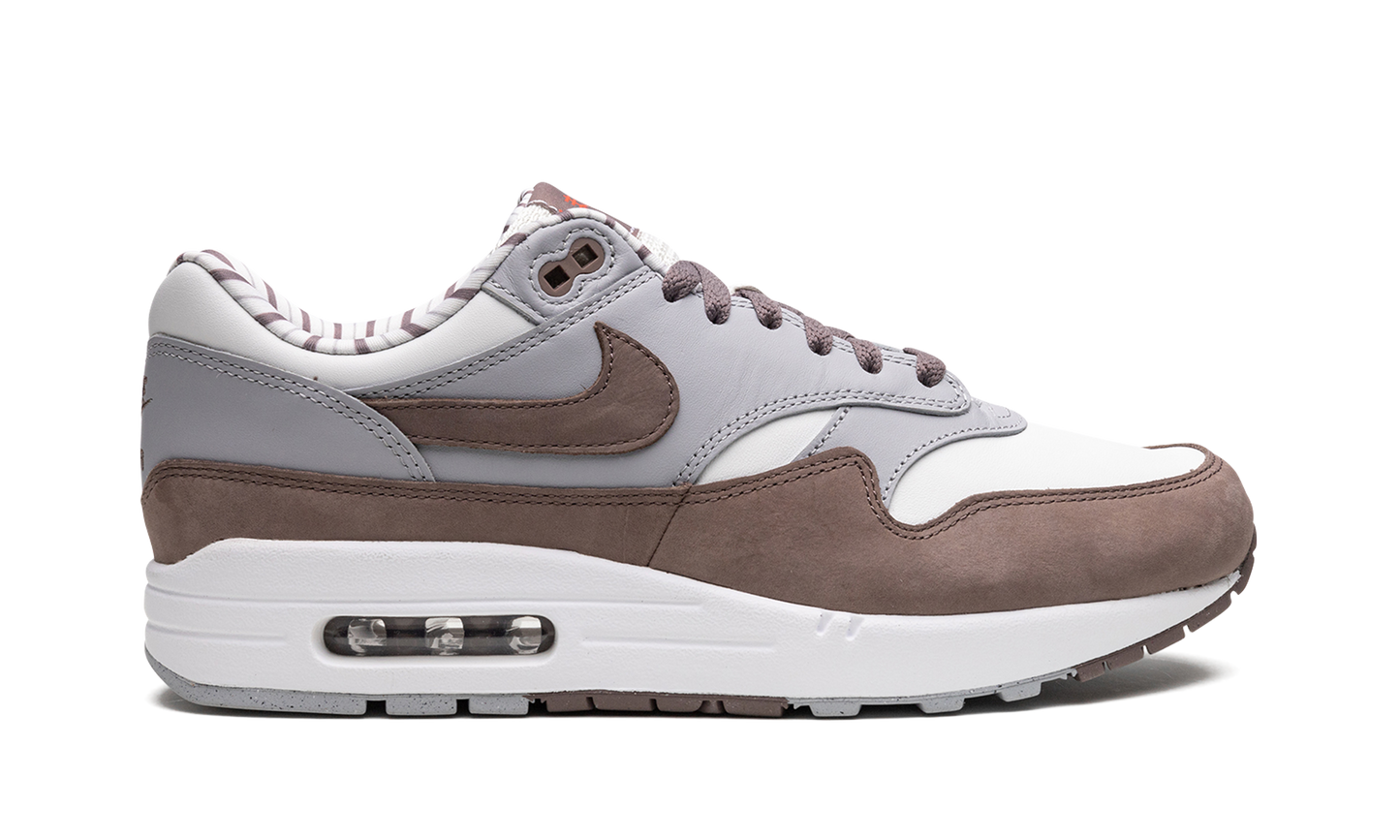 Air Max 1 "Shima Shima"