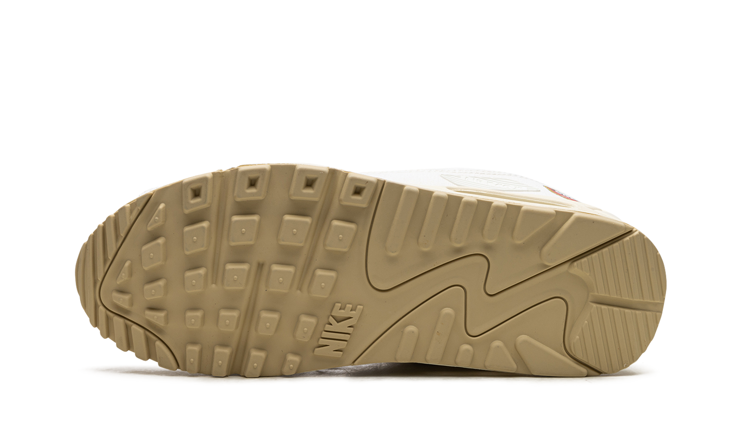 AIR MAX 90 MNS WMNS "The Future is Equal"