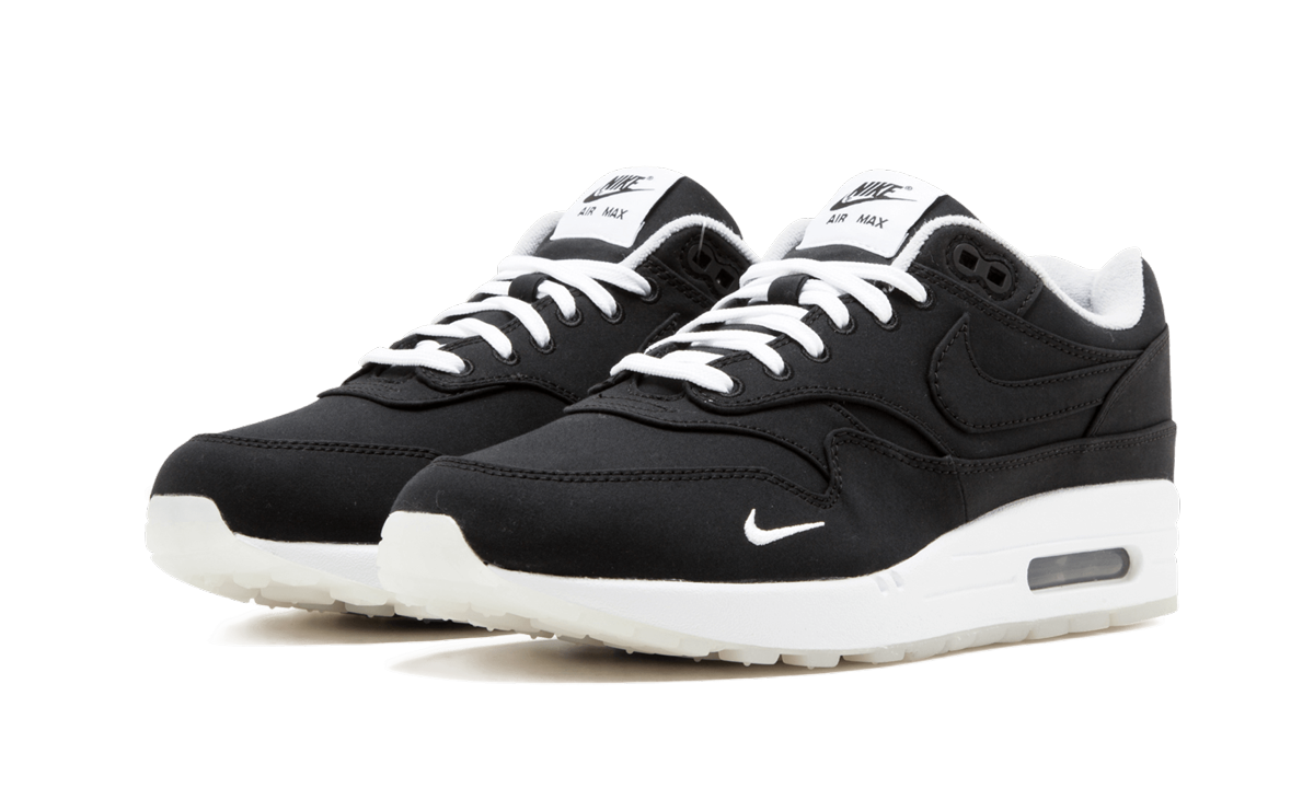 Air Max 1 "DSM"