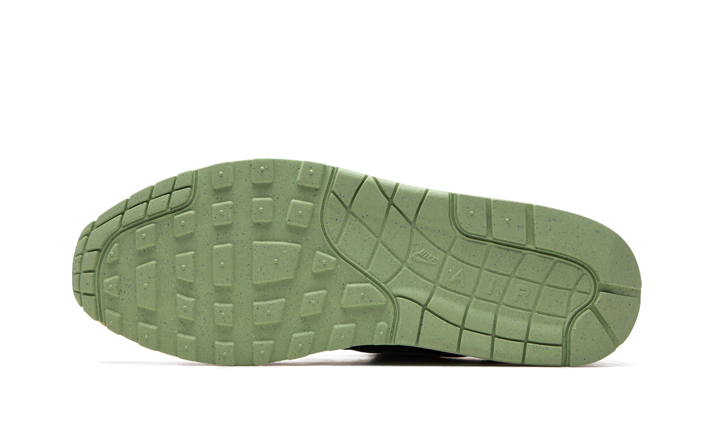 Air Max 1 "Ugly Duckling - Honeydew"