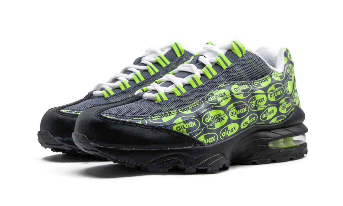 Air Max 95 SE (GS)