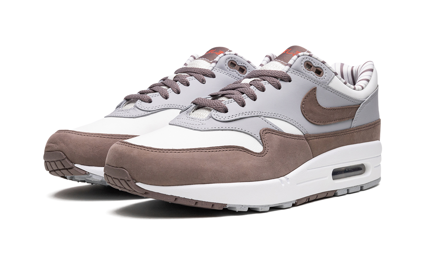 Air Max 1 "Shima Shima"