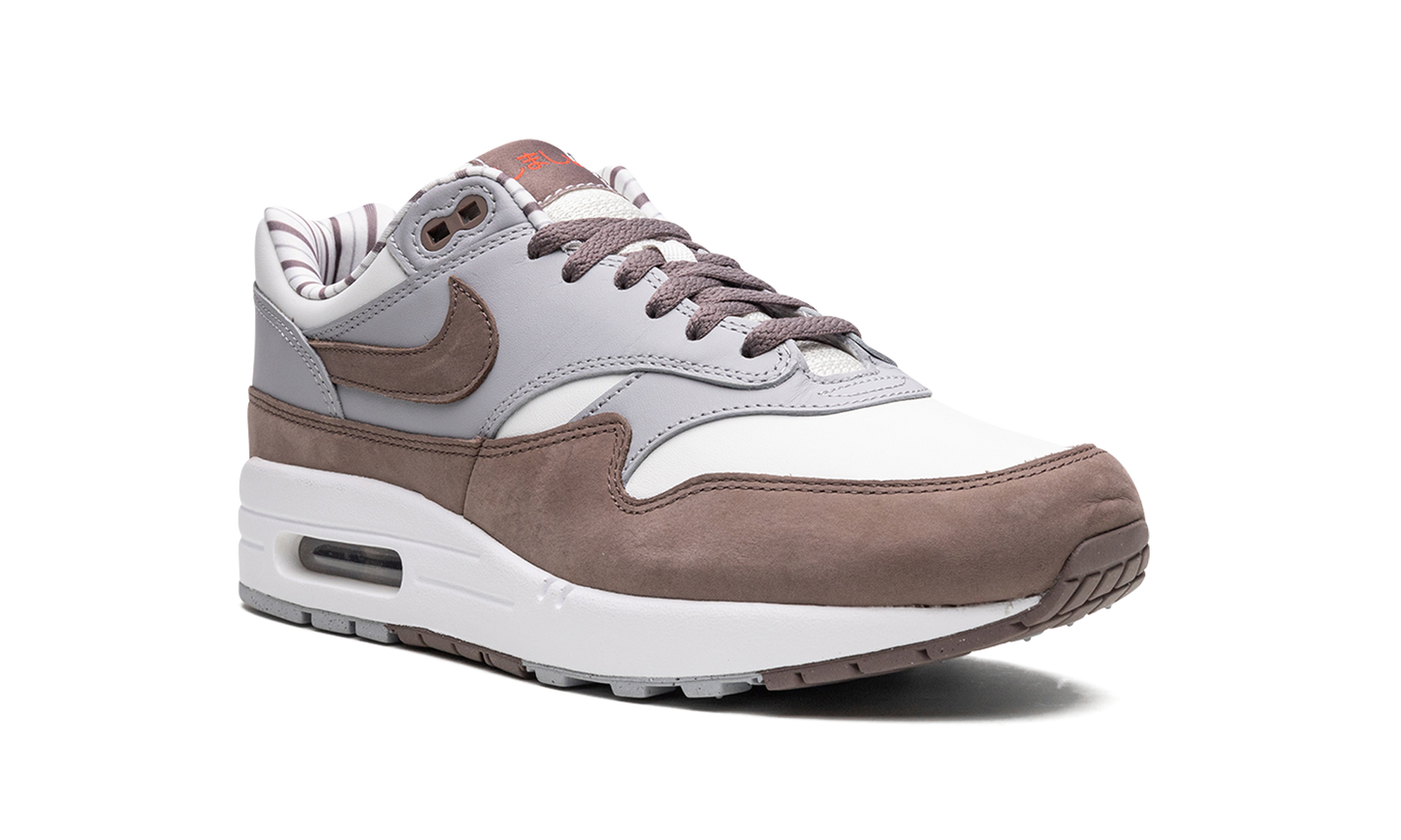 Air Max 1 "Shima Shima"