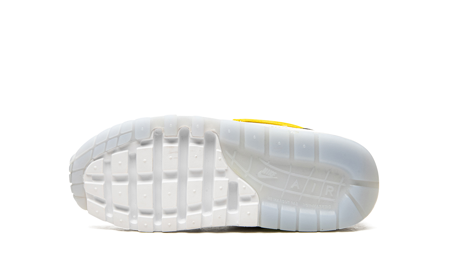 Air Max 1 GS "Daisy Pack"