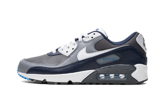Air Max 90 Gore-Tex "Anthracite / Obsidian"
