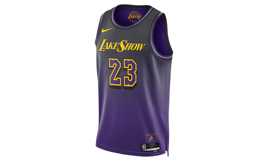 NBA LEBRON JAMES LOS ANGELES LAKERS 2024/25 CITY EDITION SWINGMAN JERSEY "Field Purple"