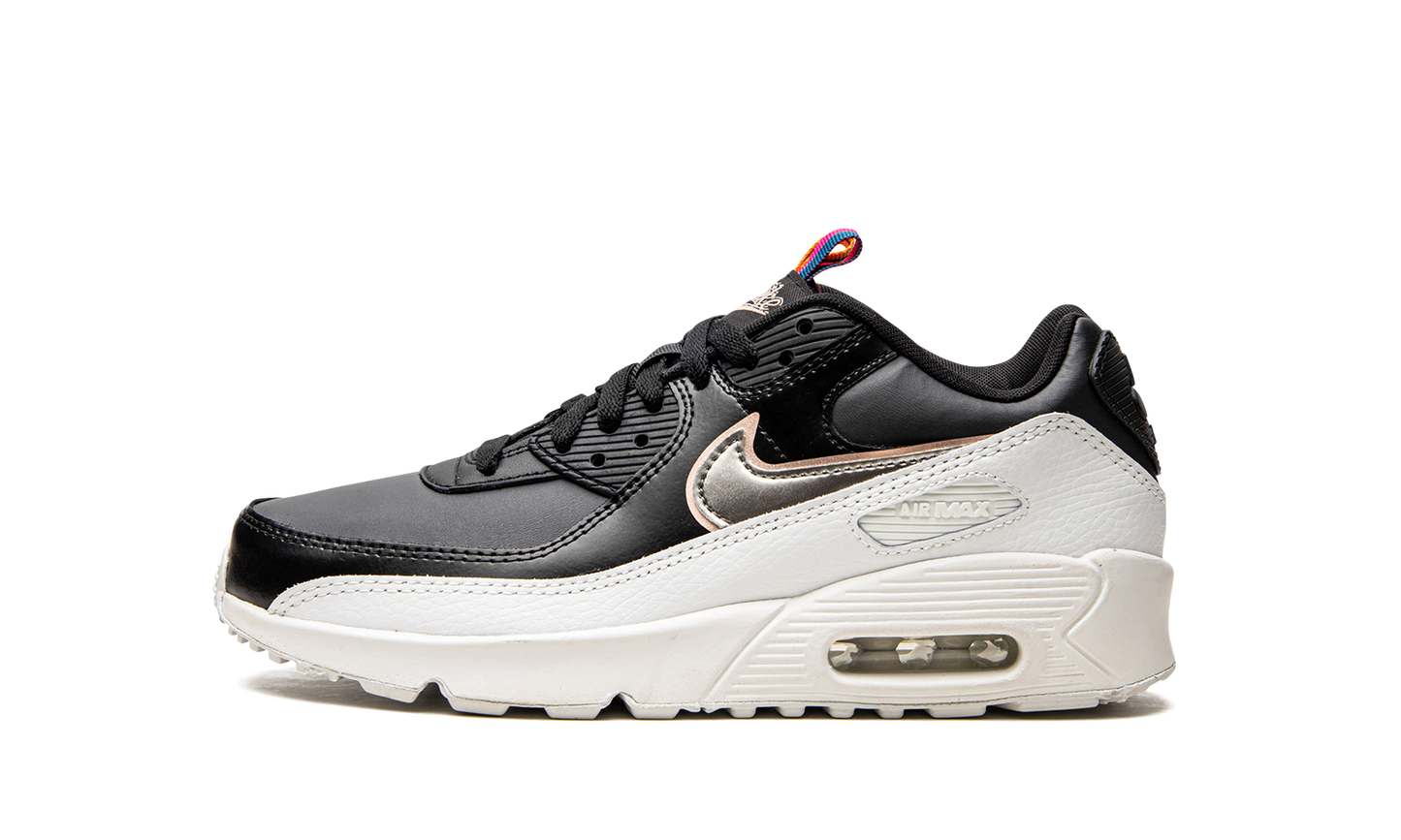 Air Max 90 LTR GS