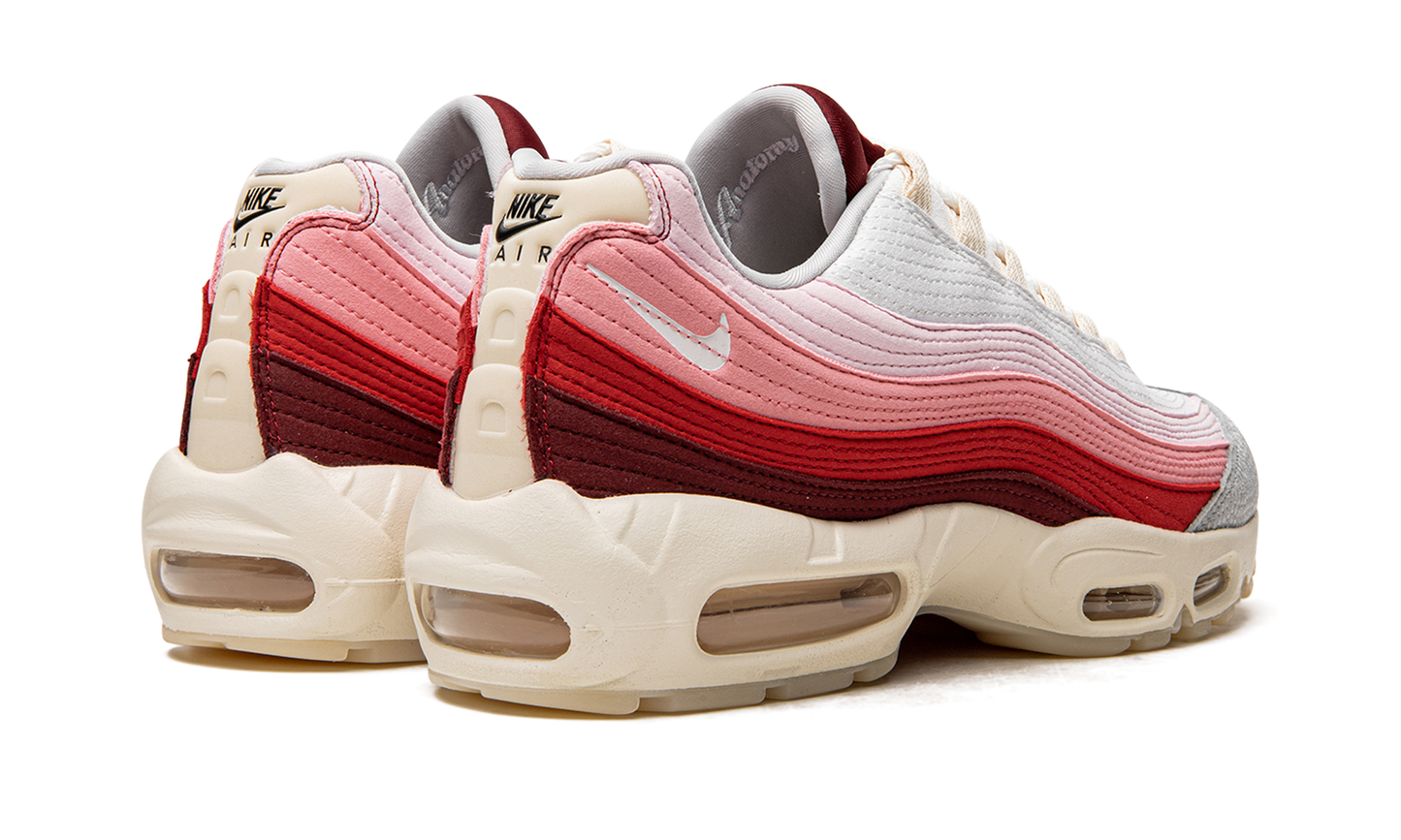 Air Max 95 QS "Anatomy of Air"