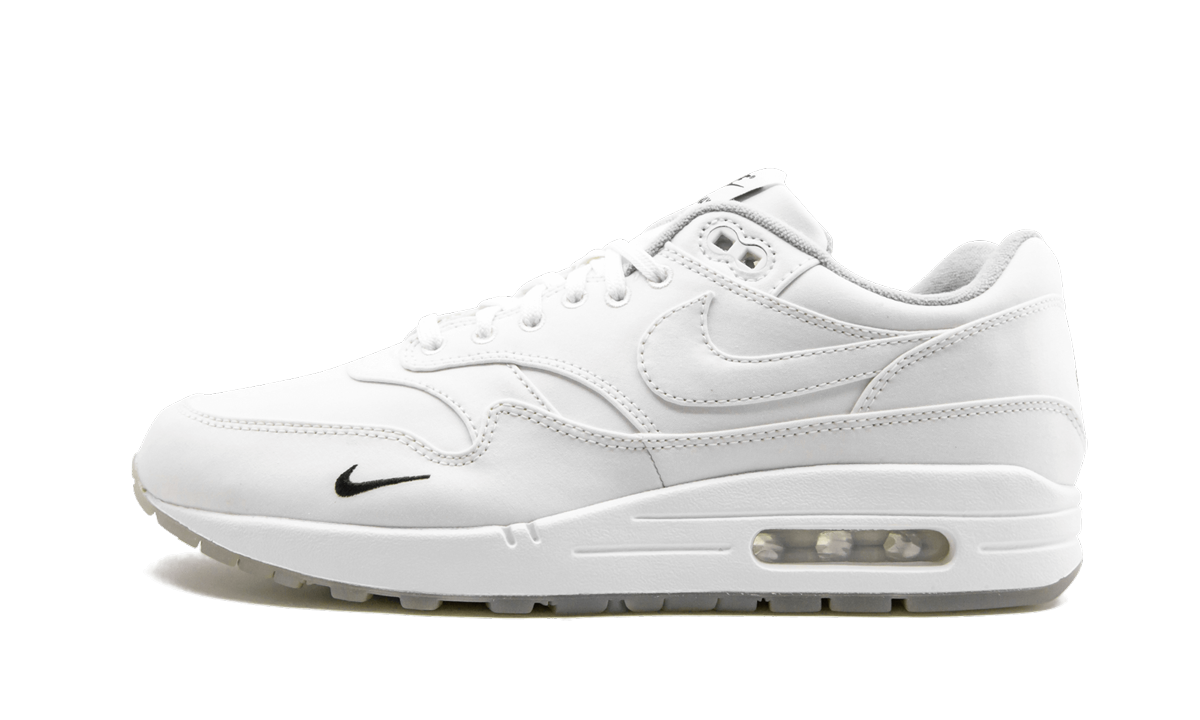 Air Max 1 "DSM"