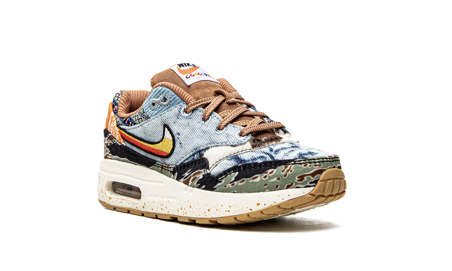 Air Max 1 (PS) "Concepts Heavy"