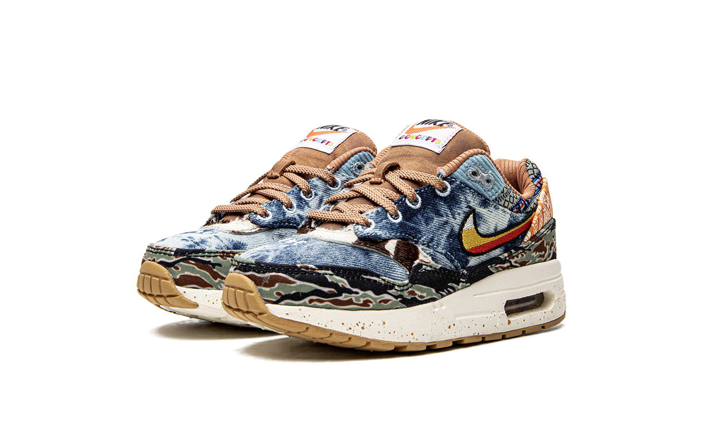 Air Max 1 (PS) "Concepts Heavy"