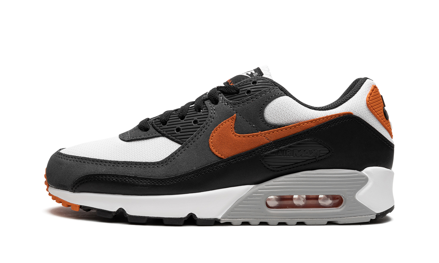 Air Max 90 "Starfish"